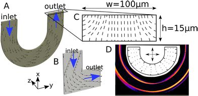 Curvature Mediated Programming Of Liquid Crystal Microflows Soft