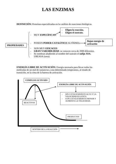 Pdf Las Enzimas Dokumen Tips