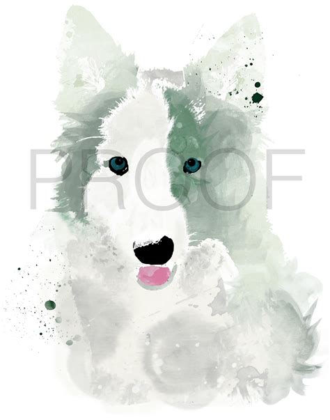 Border Collie Watercolor at GetDrawings | Free download