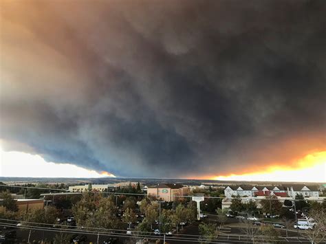 The long-term effects of wildfires — Harvard Gazette