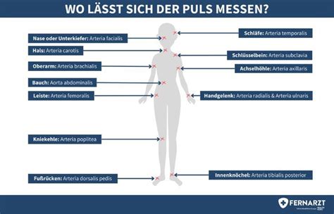 Der Puls kann man an verschiedenen Stellen des Körpers messen Der Puls