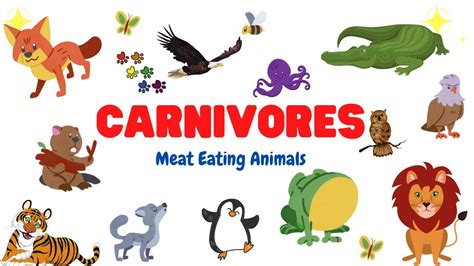 Carnivore Animals Learn Carnivorous Animals Name Type Of Animals