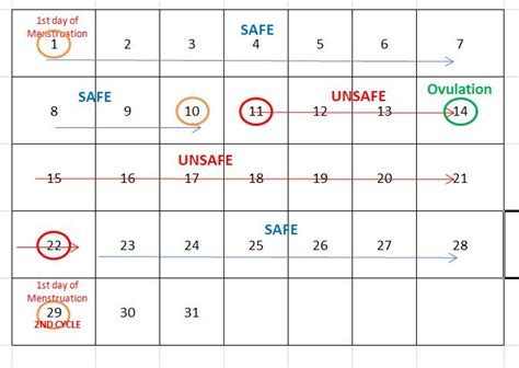 Menstrual Cycle Pregnancy Safe Period