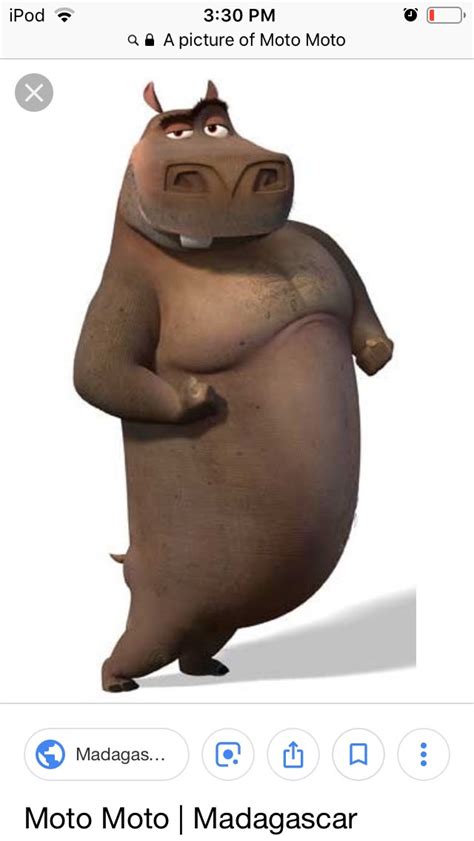 Urso Do Madagascar Na Moto - Moto moto- Madagascar | Madagascar movie characters, Cartoon photo ...