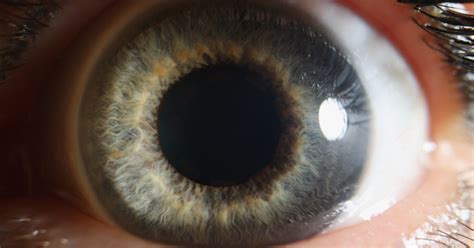 Unlocking the Secrets of Pupil Dilation: A Window into Eye Health