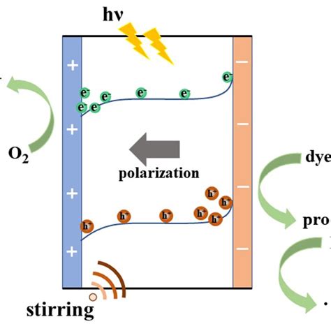 Piezo-photocatalysis mechanism of the poled NBT. | Download Scientific Diagram