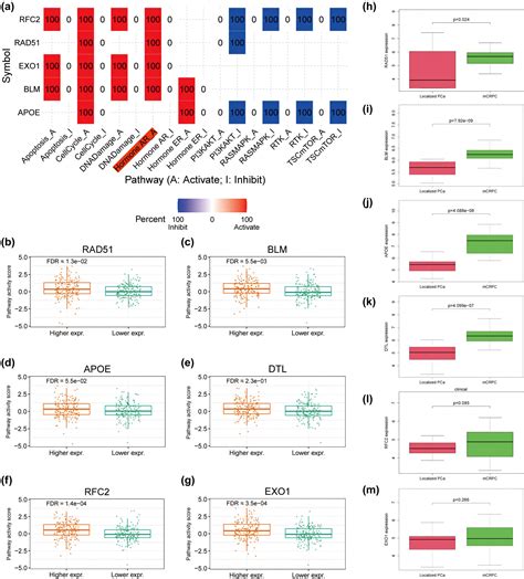 Identification Of Key Enzalutamide Resistance Related Genes In