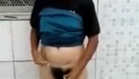 Hairy Pussy Brasilian 2 XHamster