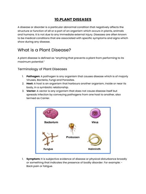 10.plant Diseases | Download Free PDF | Pathogen | Plant Pathology 