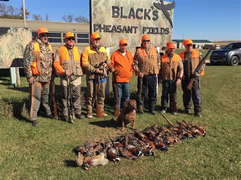 Black's Pheasant Fields – Pheasant Hunting & Lodging in South Dakota