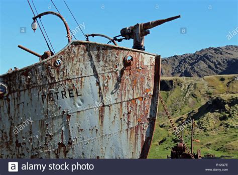 The Old Whaling Ship Petrel At Grytviken South Georgia South Atlantic