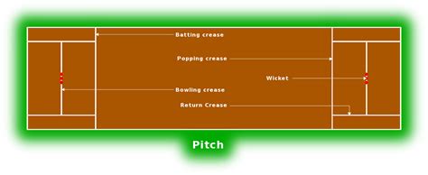 Cricket pitch