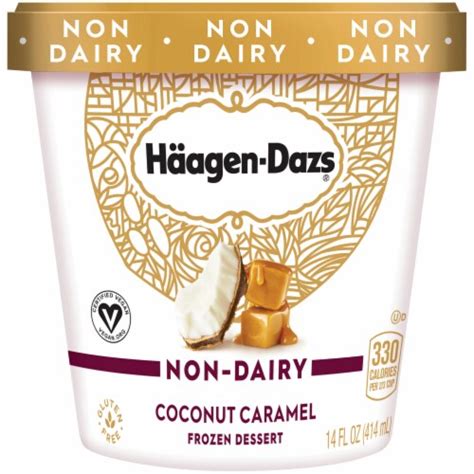 Haagen Dazs Non Dairy Coconut Caramel Ice Cream 14 Fl Oz Kroger