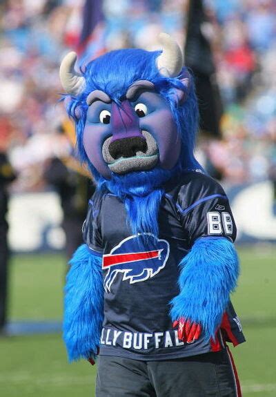 Billy Buffalo (Buffalo Bills) | SportsMascots Wikia | FANDOM powered by ...