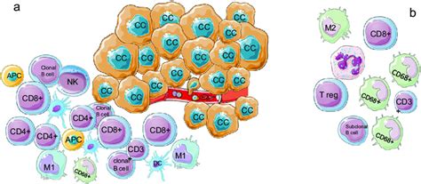 Tumor microenvironment. a Immune-stimulating microenvironment with ...