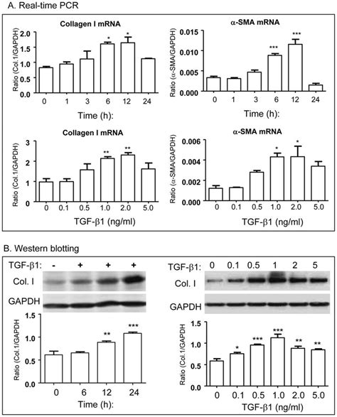 Tgf Beta Induces Collagen I And A Sma Expression By Hsc T Cells In