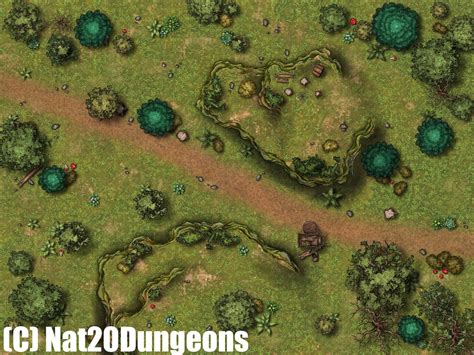 4 Map Bundle Forest Battle Map Pack 1 Dnd Battle Map D D Battlemap