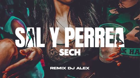 Sal Y Perrea Remix Sech Dj Alex Youtube