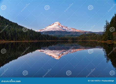 Capa Do Mt Que Reflete No Lago Trillium Oregon Foto De Stock Imagem