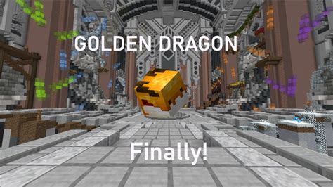 I Bought And Leveled The Golden Dragon Pet Hypixel Skyblock YouTube