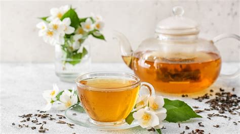 15 Best Green Tea Brands Ranked