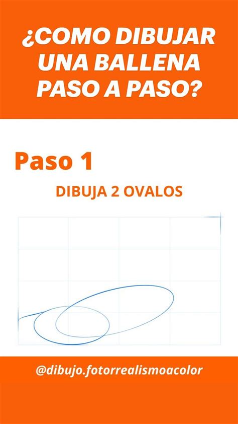 COMO DIBUJAR UNA BALLENA PASO A PASO Tutoriales de dibujo Cómo