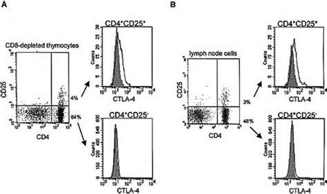 Efficient Expansion Of Regulatory T Cells In Vitro And In Vivo With A