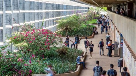 Universidades Federais T M Cursos Mais Bem Avaliados Itamaraju