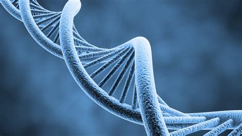 DNA's double helix discovery turns 60 – how monumental is it, really?