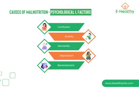 Breaking Down Malnutrition Causes Symptoms And Treatments