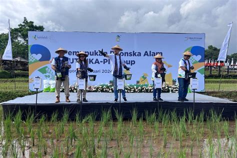 Dorong Pertanian Sehat Pupuk Indonesia Genjot Penggunaan Pupuk Organik