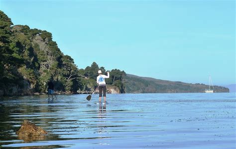 NORCAL YAK: Kayaking Tomales Bay on a mild winter weekend