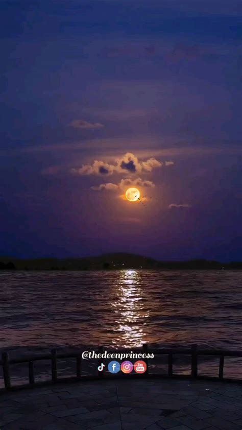 Deen Motivations ☪️ | What does a woman want from her husband? # ...