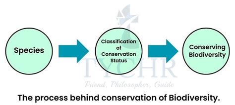 Ib Ess Biodiversity And Conservation Notes Tychr