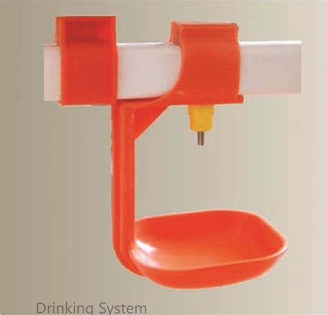 Poultry Farming Automatic Chicken Pan Feeding Nipple Drinking System