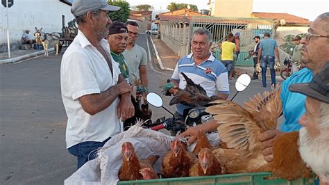 Vanio Das Galinhas Mostrando As Novidades Das Cria Es Na Feira Em