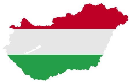 Hungarian Translation Services | Pangea Localization Services