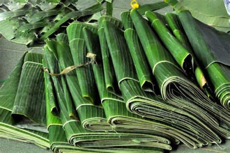 Cara Packing Daun Pisang Untuk Ekspor Ke Luar Negeri REPACK ID