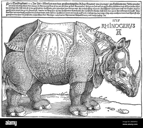 Allemagne Dürer s Rhinoceros Imprimé bois par Albrecht Durer 1471