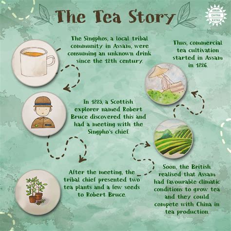 The Fascinating Story Of Tea In India Amar Chitra Katha