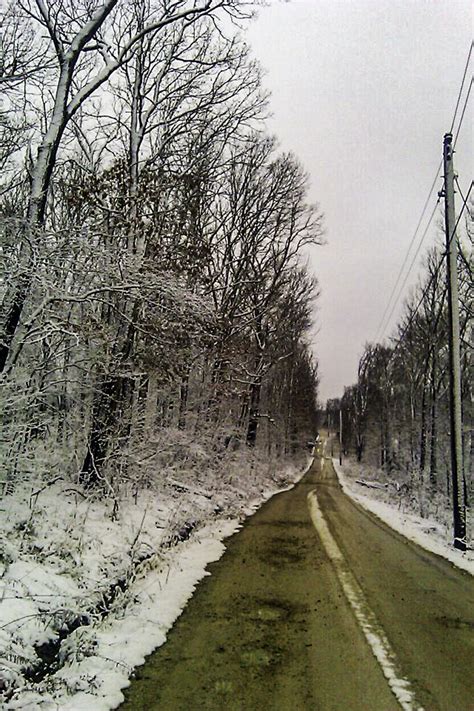 Snow Covered Trees Along A Rural Gravel Road In Warrenton Missouri