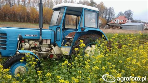 Obraz Ciagnik Zetor 3011 Major UG 2 667143 Galeria Rolnicza Agrofoto