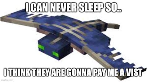 Minecraft Phantom Memes - Imgflip