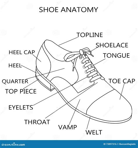 Fashion Illustration - Raster Illustration of the Anatomy of a Shoe ...