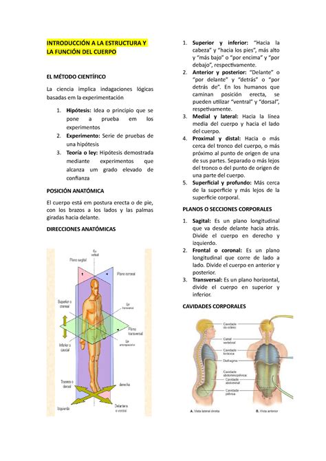 Apunte Anatómia INTRODUCCIÓN A LA ESTRUCTURA Y LA FUNCIÓN DEL CUERPO