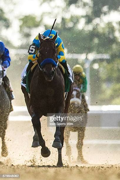 112 Triple Crown Affirmed Photos And High Res Pictures Getty Images