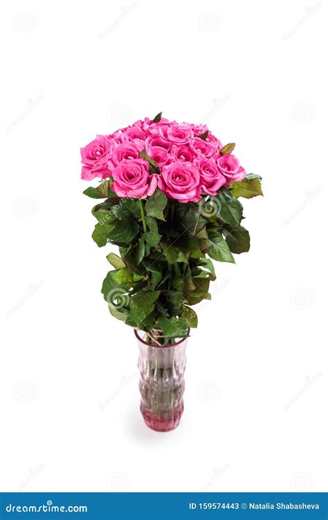 Beautiful Bouquet Of Pink Roses In A Vase Isolated Stock Image Image