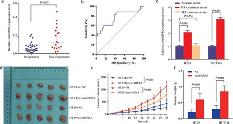 Circhipk3 Promotes Oxaliplatin Resistance In Colorectal Cancer Through