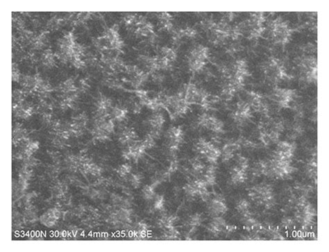 The SEM Images Of Investigated SnO2 Powder Calcined Under A 300C