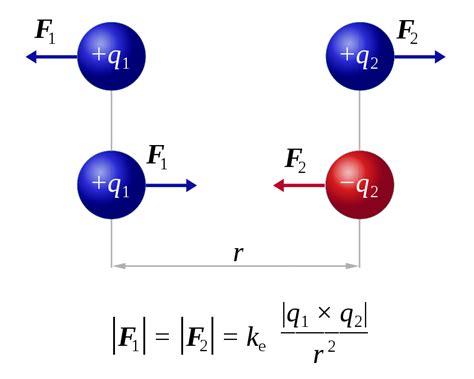 What Is The Difference Between Coulombs Law And Gravitational Law